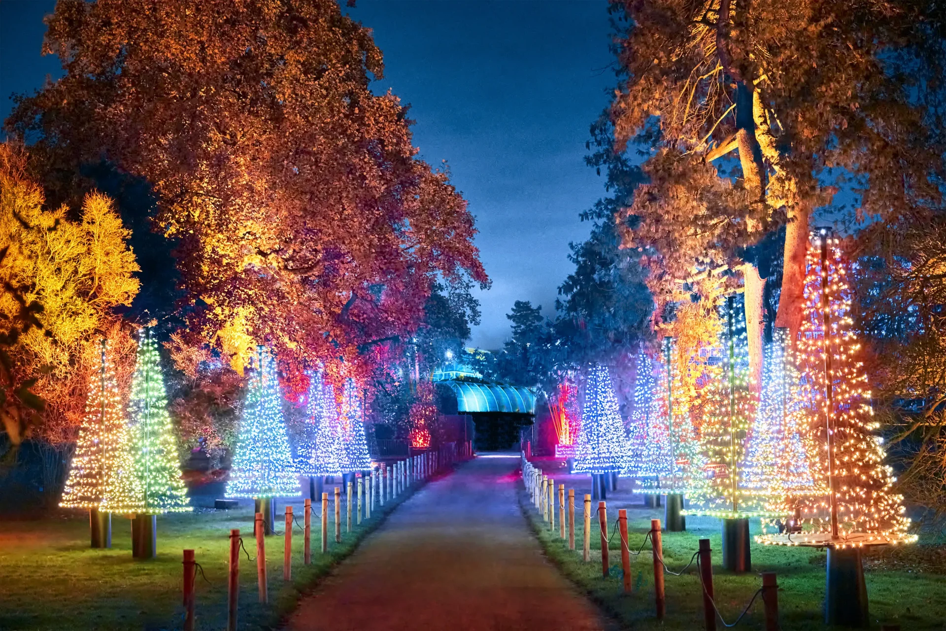 christmas at kew with free time in richmond