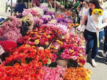 columbia road flower market with covent garden